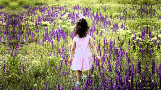 1755490 (a): :3500x1960